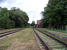 min 342 1.jpg min 342 1.jpg